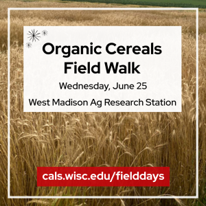 A sign reading organic cereals field walk, Wednesday June 25th at West Madison Ag Research Station in front of an image of a field of dried cereal grains.
